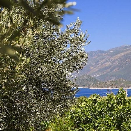 فيلا Kaktus Cakil كاس المظهر الخارجي الصورة