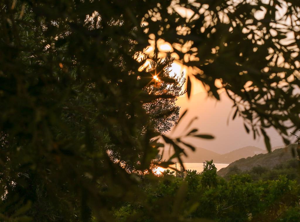 فيلا Kaktus Cakil كاس المظهر الخارجي الصورة